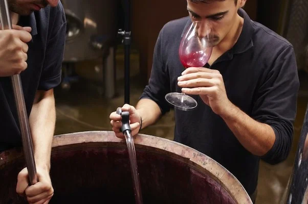 Технология производства вина из винограда